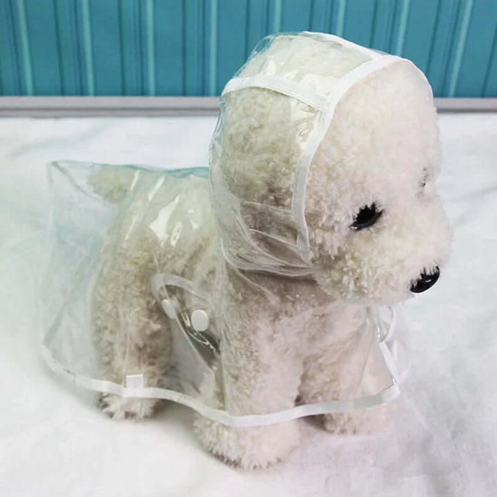 Veste imperméable transparente pour chien
