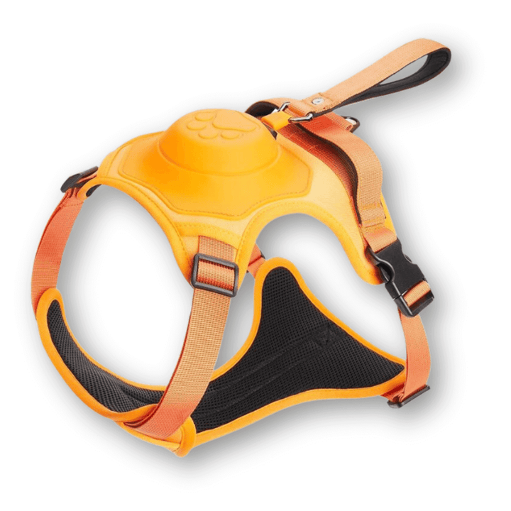 Harnais pour chien avec laisse - FlexiLead