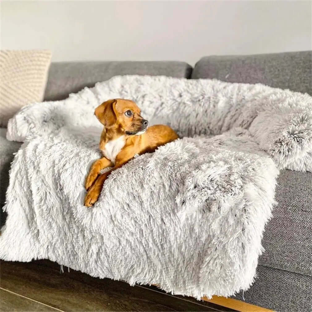 Couverture lavable pour canapé pour animaux de compagnie - Peluche