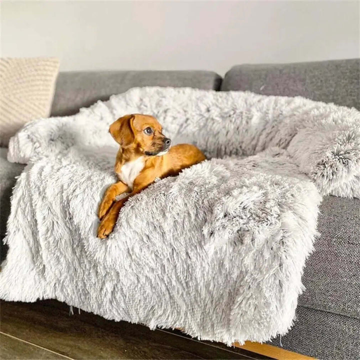 Couverture lavable pour canapé pour animaux de compagnie - Peluche