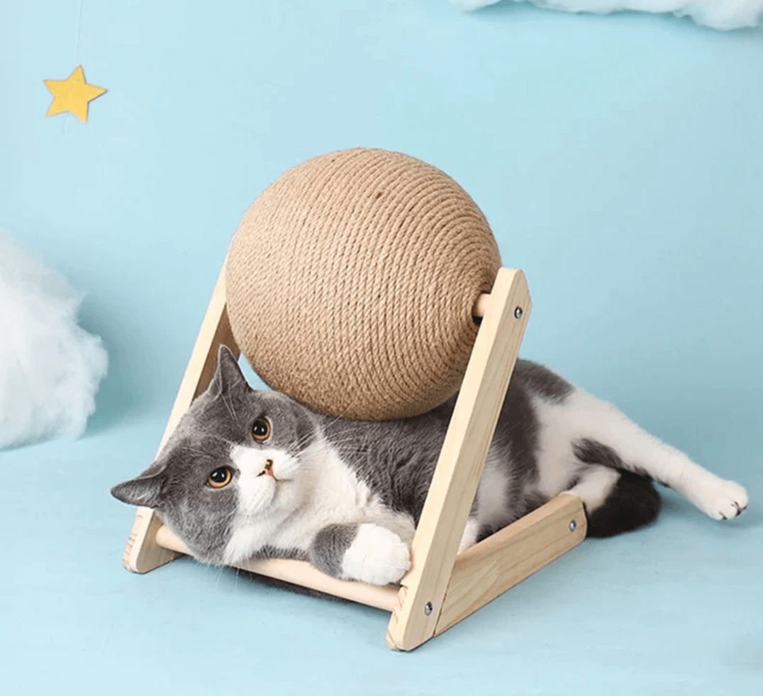 Arbre à chat jouet - amusement et soin des griffes