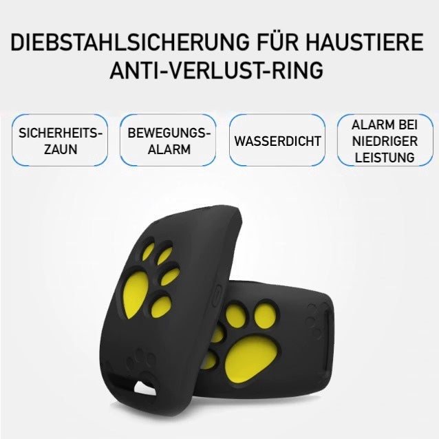"GPS Katzenhalsband mit Echtzeit-Tracking, wasserdicht IP67, verstellbar. Ideal für sichere Katzenortung."