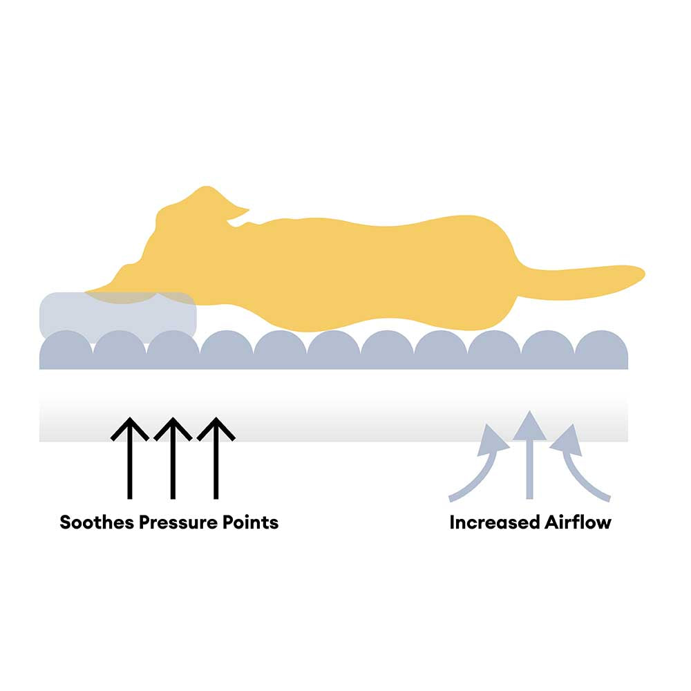 "Großes orthopädisches Mensch-Hund-Bett in flauschigem Beige mit weichen Nackenrollen für maximalen Komfort und Unterstützung
