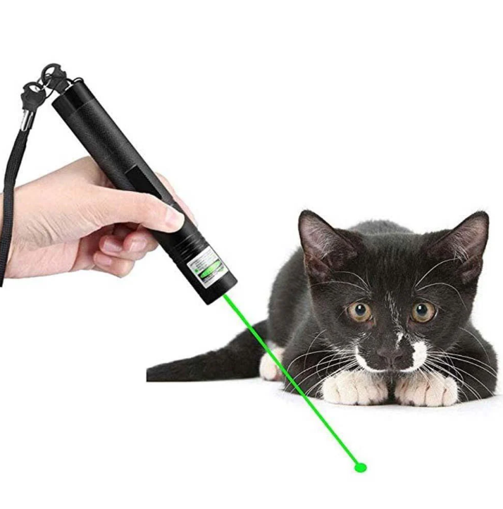 Grüner Hochleistungs-Laserpointer mit robustem Aluminiumgehäuse und ergonomischem Design für präzise Anwendungen.