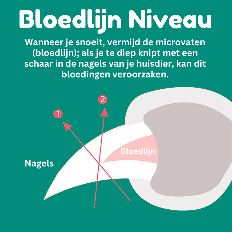 "Hund Nagelknipser mit Schnellsensor, ergonomisches Design, Edelstahl, sicher und schmerzfrei, für präzise Krallenpflege"