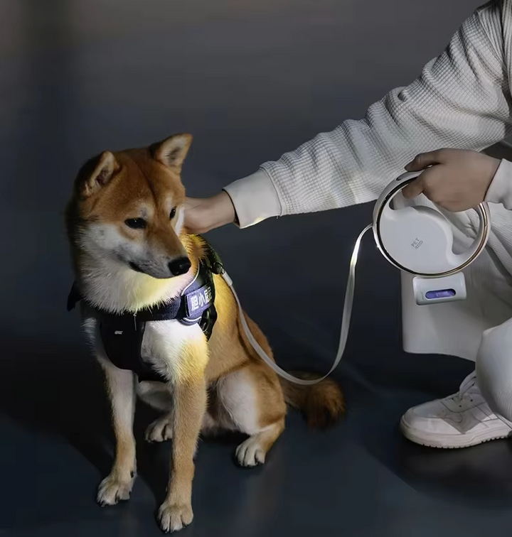"Hundeleine mit LED-Licht, ausziehbar, ergonomischer Griff, reflektierend, für sicheres Nachtspazieren mit Hund"