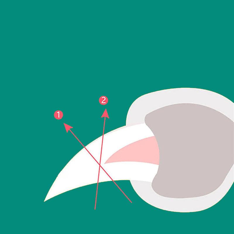 "Hundenagelknipser mit präzisen Sensoren, ergonomischem Griff und Edelstahlklingen, sicher für Haustiere."