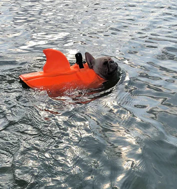 "Hundeschwimmweste mit Hai-Flosse, blauer Stoff, verstellbare Gurte, für Sicherheit im Wasser, für Hunde aller Größen."