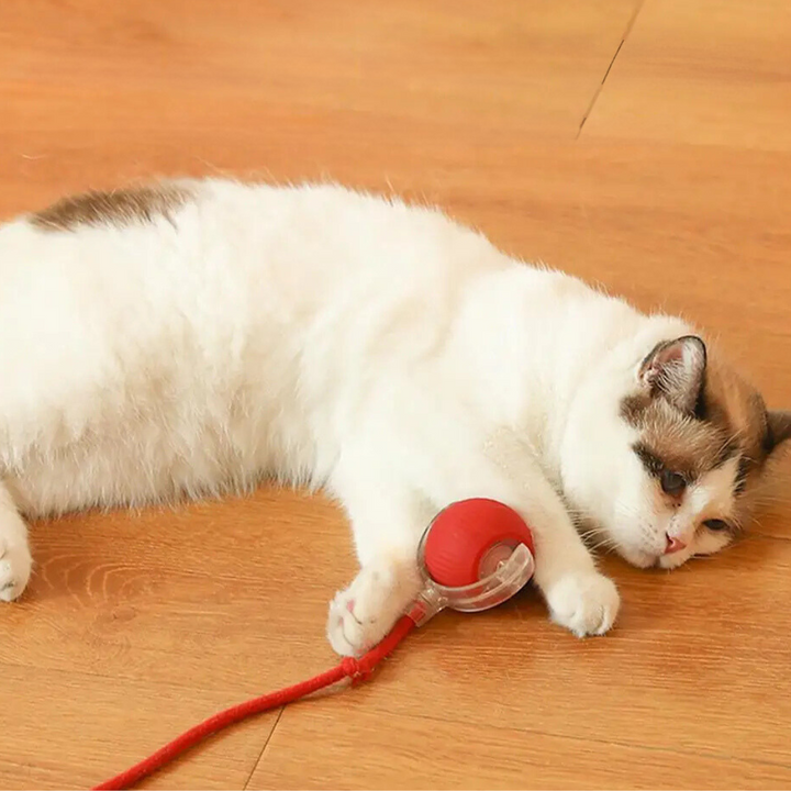 "Interaktiver Katzen-Spielball mit beweglichem Schwanz, fördert Jagdinstinkt, sicher & langlebig für stundenlangen Spielspaß"