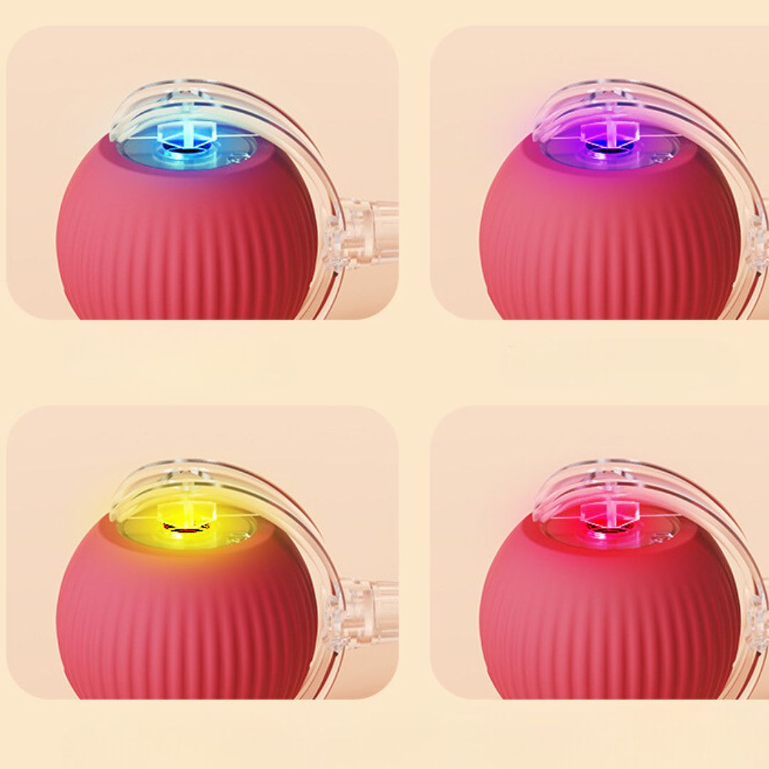 Interaktiver Katzenball mit Schwanz, robust und bunt; fördert Spiel und Bewegung, perfekt für aktive Katzen.