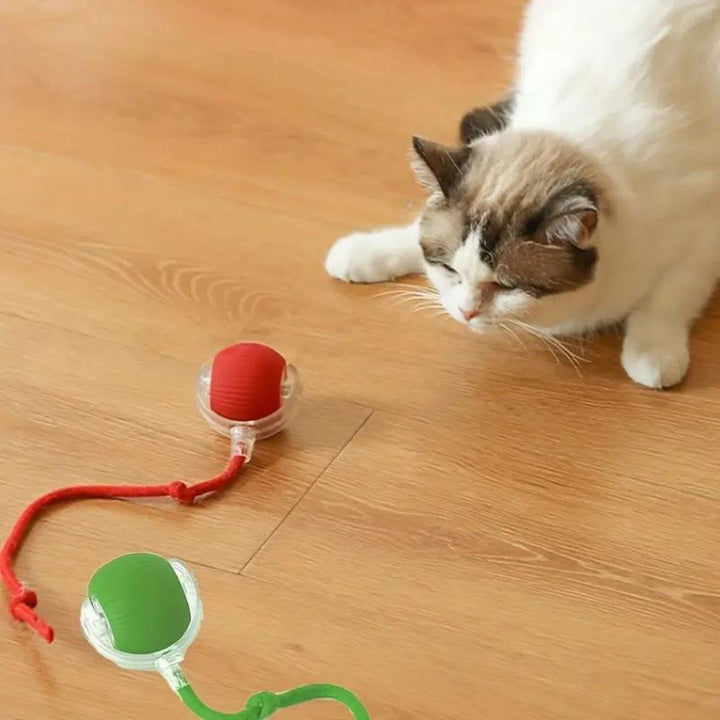 Interaktiver Katzenball mit Schwanz, robust und bunt; fördert Spiel und Bewegung, perfekt für aktive Katzen.