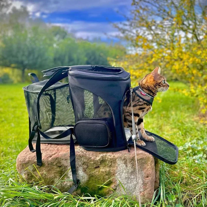 "Katzenrucksack mit Sichtfenster und Belüftung für bequeme Reisen im Wald, stilvolles Design, graue Farbe"