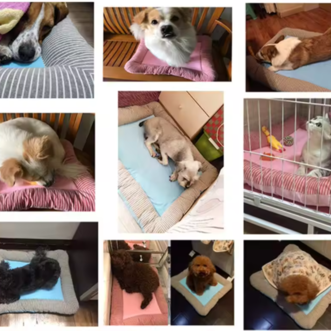 "Kühlmatte für Haustiere: Weiche blaue Matte sorgt passiv für Erfrischung und Komfort, ideal für Hund oder Katze im Sommer."