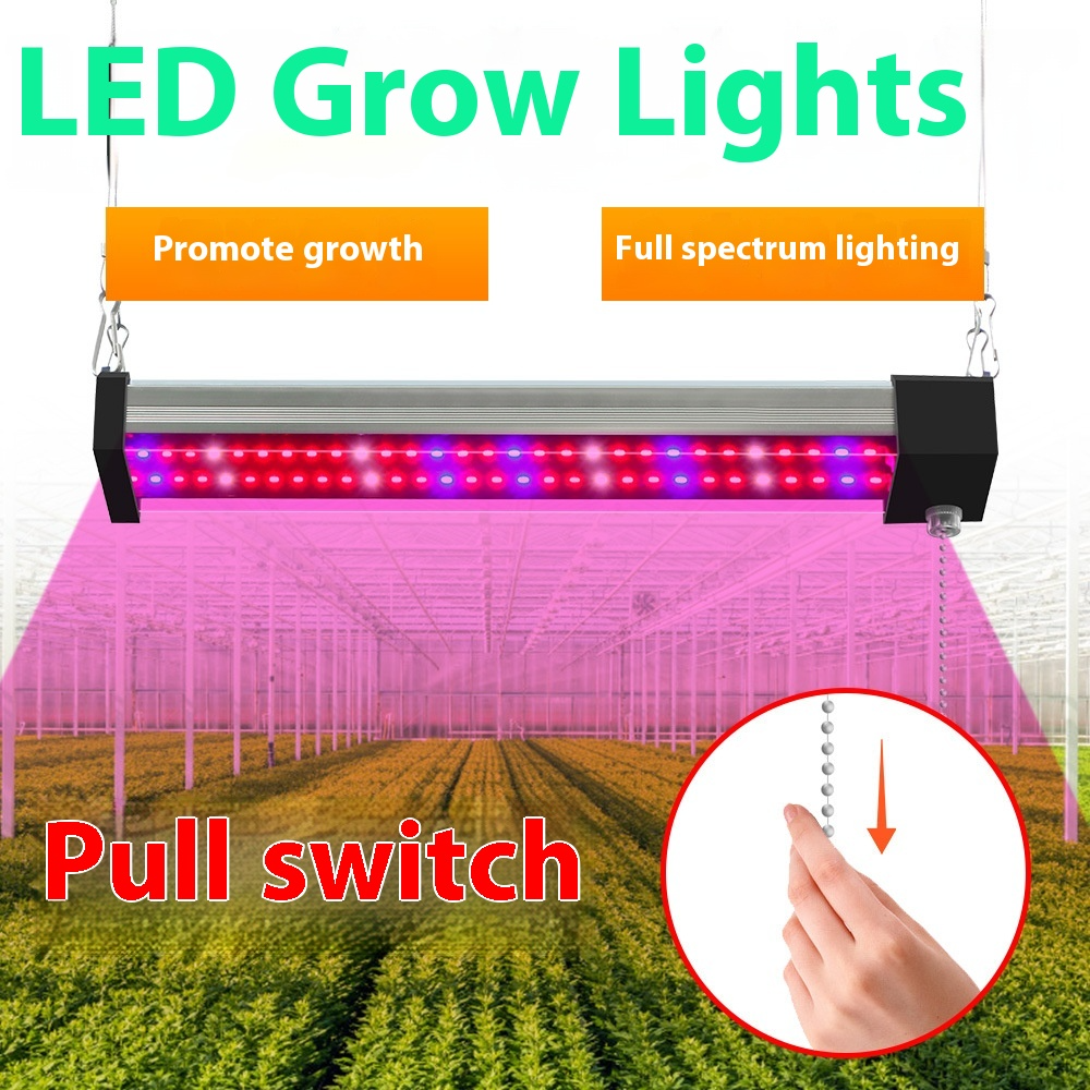 "LED Pflanzenlampe Vollspektrum, energieeffizient, mit Zugschalter, ideal für gesundes Pflanzenwachstum in Innenräumen."