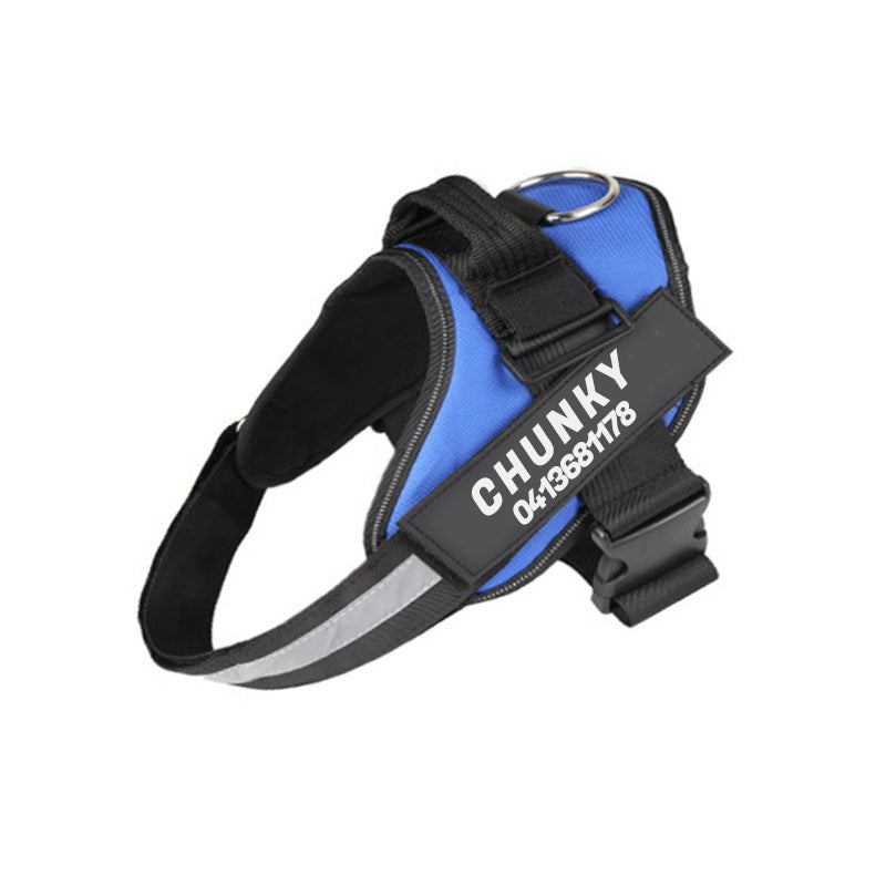 "Leuchtendes Anti-Zug Hundegeschirr mit personalisierbaren Details und reflektierenden Streifen für mehr Sicherheit."