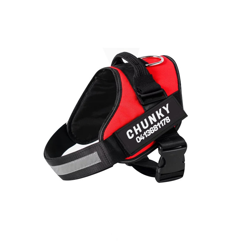 "Leuchtendes Anti-Zug Hundegeschirr mit personalisierbaren Details und reflektierenden Streifen für mehr Sicherheit."