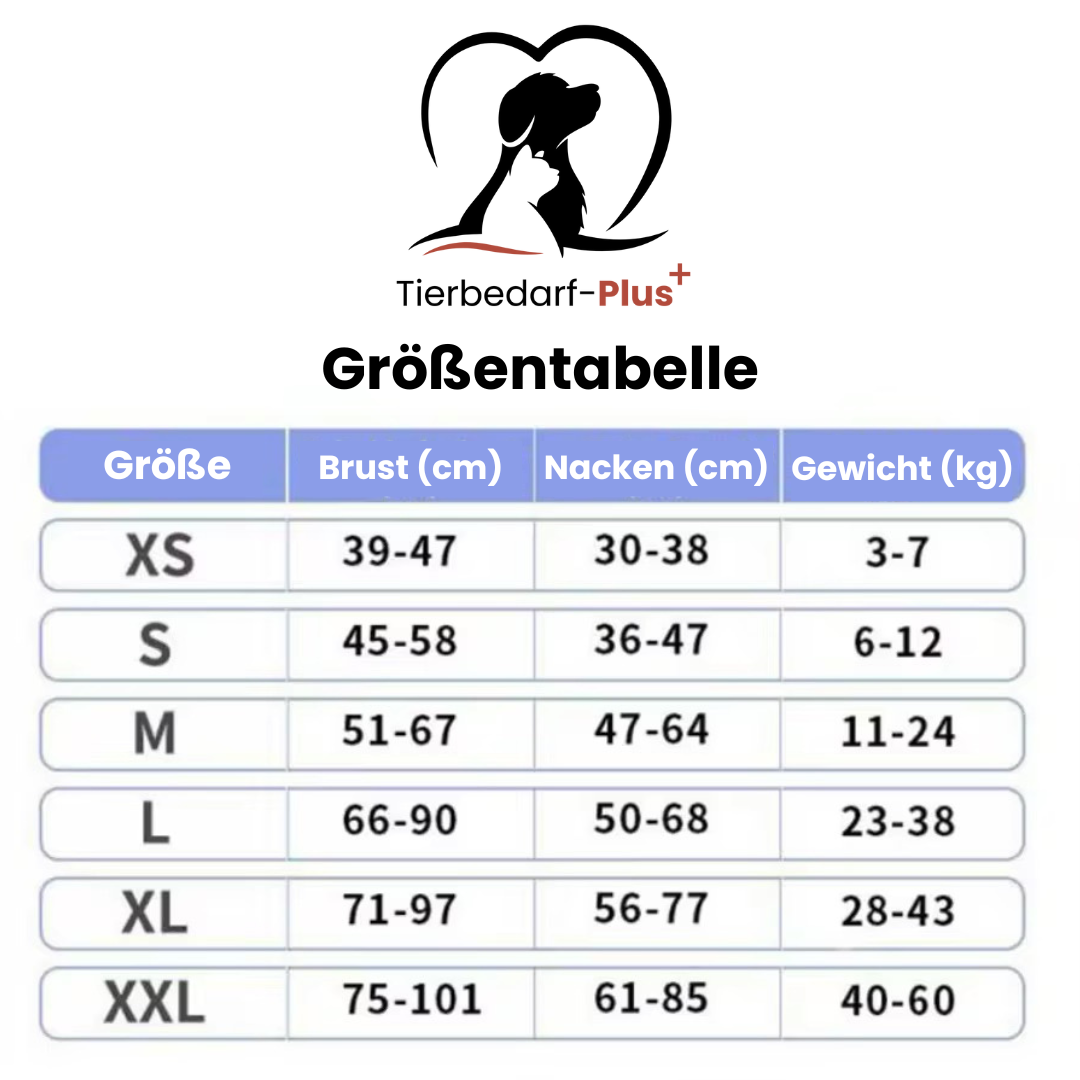 "Leuchtendes Anti-Zug Hundegeschirr mit personalisierbaren Details und reflektierenden Streifen für mehr Sicherheit."