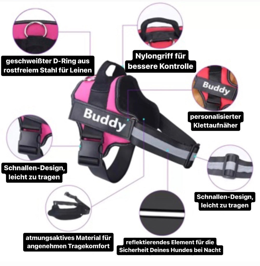 "Leuchtendes Anti-Zug Hundegeschirr mit personalisierbaren Details und reflektierenden Streifen für mehr Sicherheit."