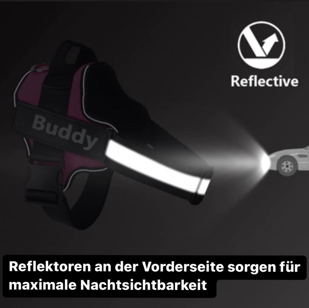 "Leuchtendes Anti-Zug Hundegeschirr mit personalisierbaren Details und reflektierenden Streifen für mehr Sicherheit."