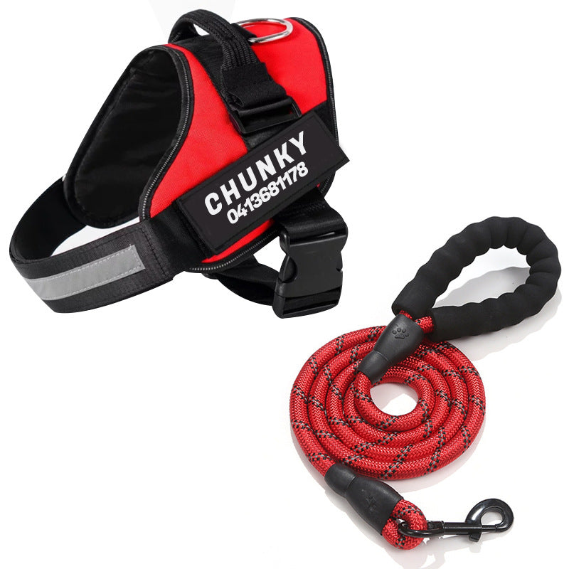 "Leuchtendes Anti-Zug Hundegeschirr mit personalisierbaren Details und reflektierenden Streifen für mehr Sicherheit."