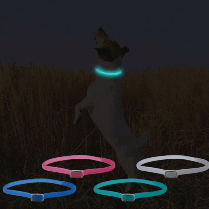 "Leuchtendes Floh- und Zeckenhalsband für Katzen & kleine Hunde, 8 Monate Schutz, erhöht Sichtbarkeit bei Nacht, wasserfest."