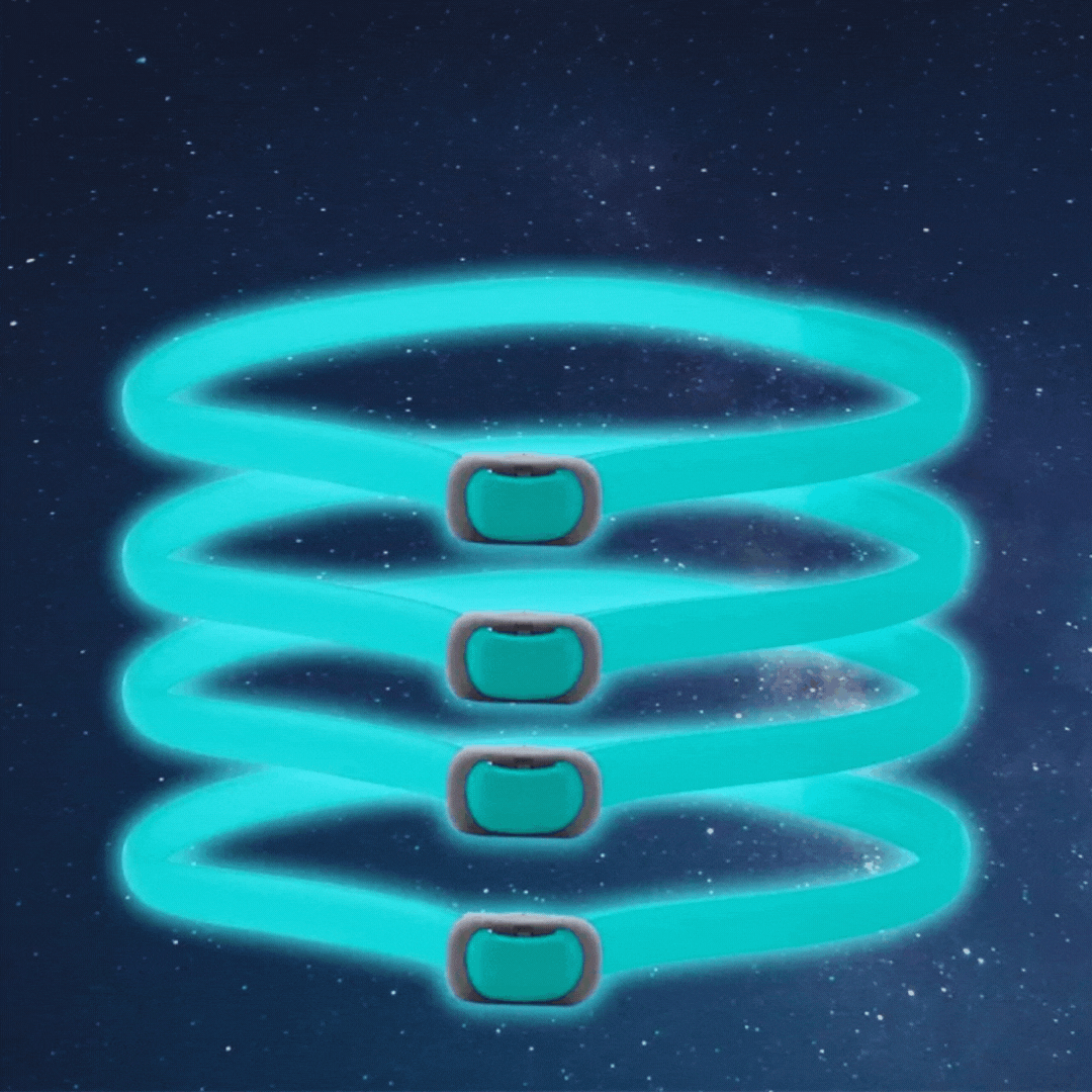 "Leuchtendes Floh- und Zeckenhalsband für Katzen & kleine Hunde, 8 Monate Schutz, erhöht Sichtbarkeit bei Nacht, wasserfest."