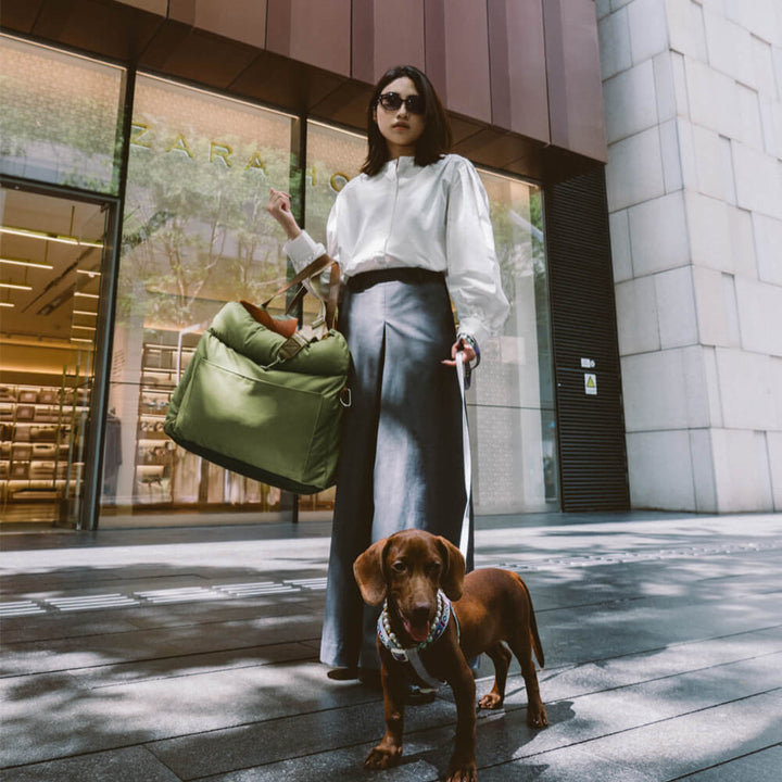 Luxuriöser Hundeautositz mit Kunstleder, Plüschfutter und Sicherheitsgurt, ideal für komfortable und sichere Autofahrten.