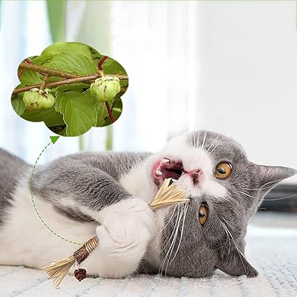 "Natürliche Kitty Zahnreinigungs Sticks für Katzen, grün, schlank, zur Zahnpflege und frischem Atem, sicher und natürlich."