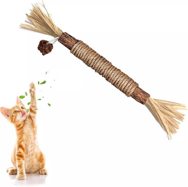 "Natürliche Kitty Zahnreinigungs Sticks für Katzen, grün, schlank, zur Zahnpflege und frischem Atem, sicher und natürlich."