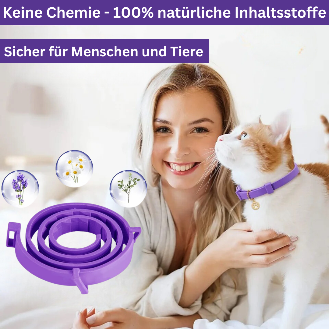 "Natürliches, wasserfestes Pheromon-Halsband für Hunde & Katzen, graues Design, reduziert Stress und Angst."
