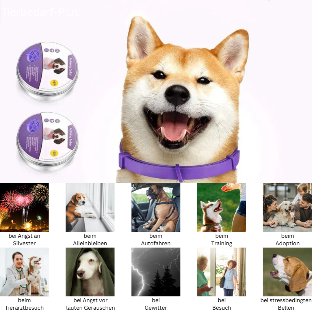 "Natürliches, wasserfestes Pheromon-Halsband für Hunde & Katzen, graues Design, reduziert Stress und Angst."