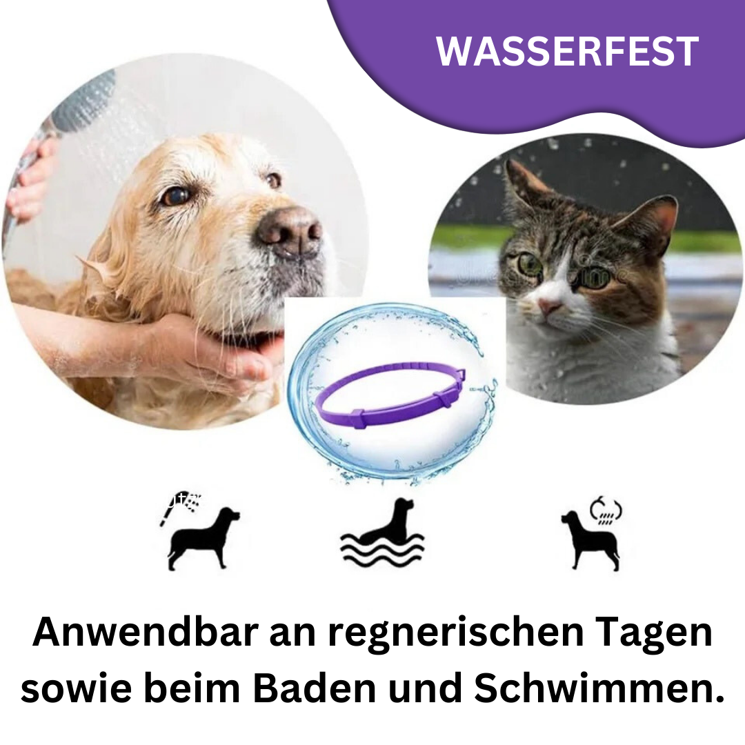 "Natürliches, wasserfestes Pheromon-Halsband für Hunde & Katzen, graues Design, reduziert Stress und Angst."