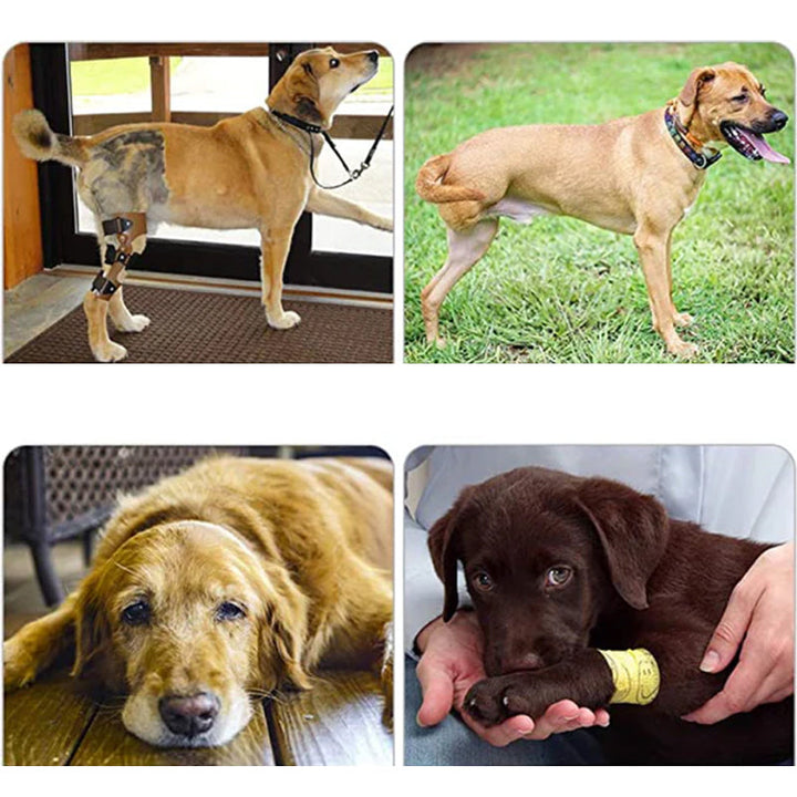 Orthopädischer Hundegurt, ergonomisch, bietet Unterstützung und Stabilität für Hunde-Hinterbeine, Detailaufnahme.