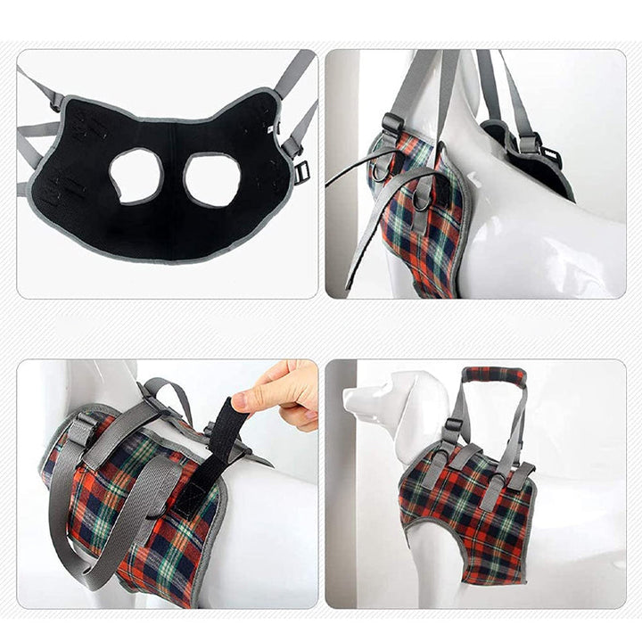 Orthopädischer Hundegurt, ergonomisch, bietet Unterstützung und Stabilität für Hunde-Hinterbeine, Detailaufnahme.