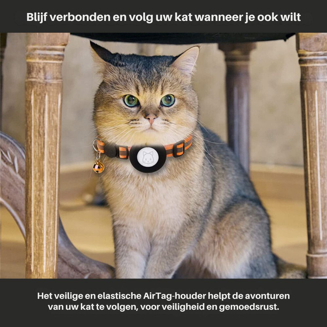 "Reflektierendes Katzenhalsband mit Sicherheitsverschluss und GPS-Halter, für erhöhte Sichtbarkeit und Schutz."