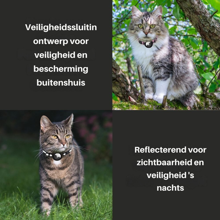 "Reflektierendes Katzenhalsband mit Sicherheitsverschluss und GPS-Halter, für erhöhte Sichtbarkeit und Schutz."