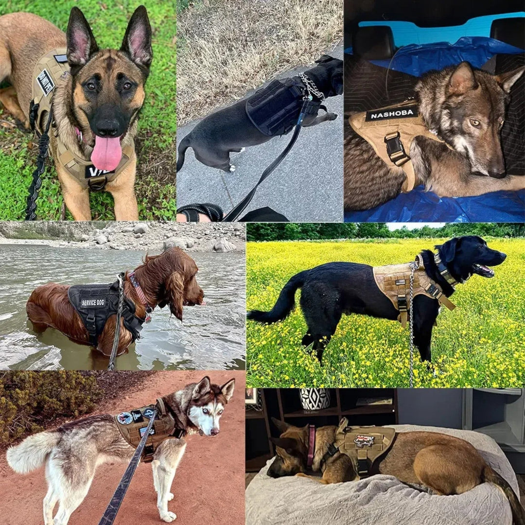 "TacticalK9 Hundegeschirr in Schwarz mit robustem Griff, reflektierenden Details und verstellbarer Passform für Hunde."