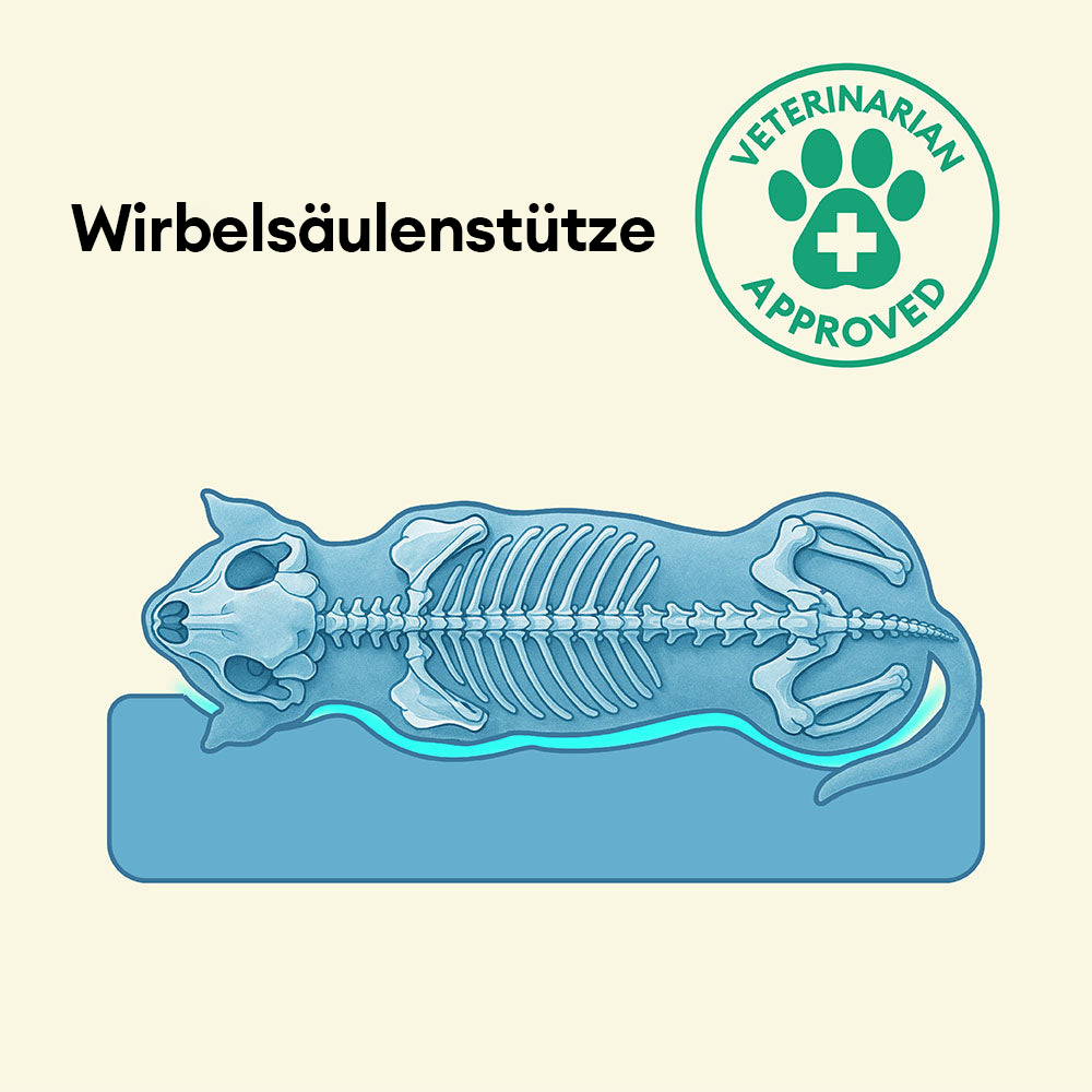 Wasserfestes Hundebett, orthopädisch, großes Modell, graues Material, mit erhöhter Kante für komfortable Kopfstütze