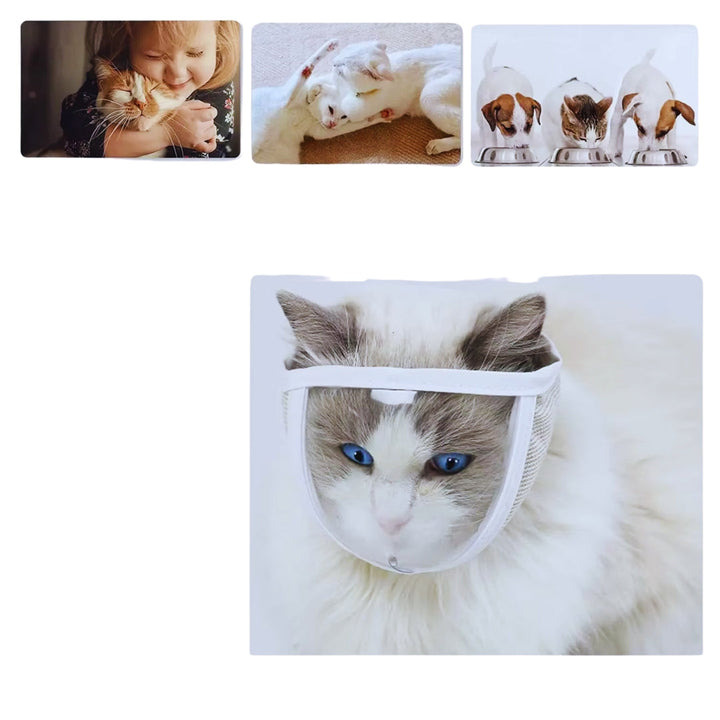 Weiche, verstellbare Katzen Halskrause Maske für optimalen Schutz; verhindert Kratzer, mit atmungsaktivem Stoff.
