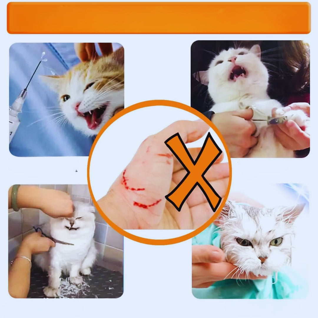 Weiche, verstellbare Katzen Halskrause Maske für optimalen Schutz; verhindert Kratzer, mit atmungsaktivem Stoff.