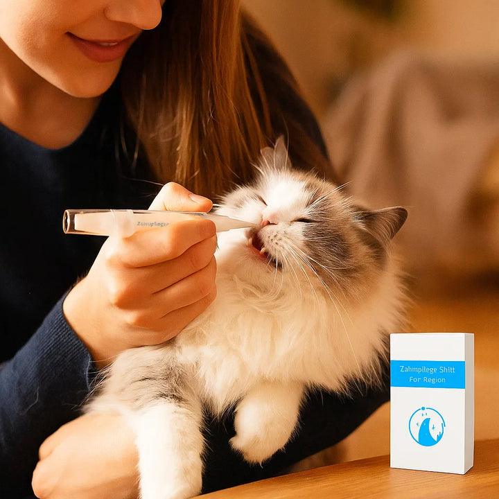 "Zahnpflege Stift für Katzen, hilft gegen Zahnstein, liefert frischen Atem, mit natürlichen Inhaltsstoffen, weiß-grün"