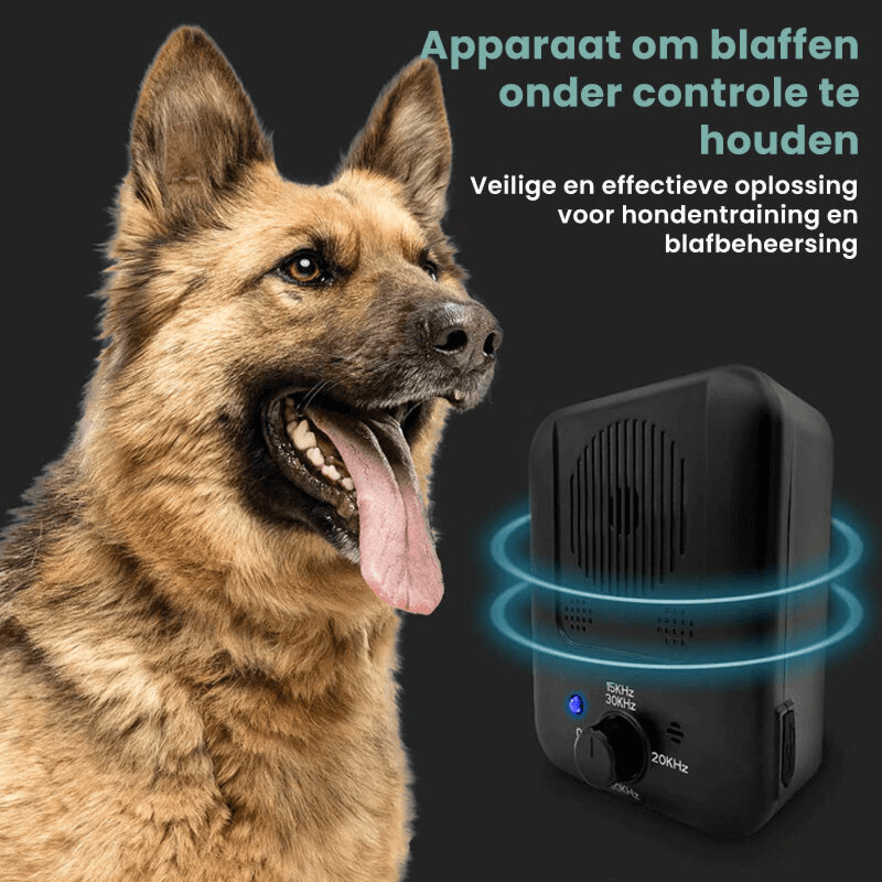 Dispositif anti-aboiement à ultrasons pour chiens