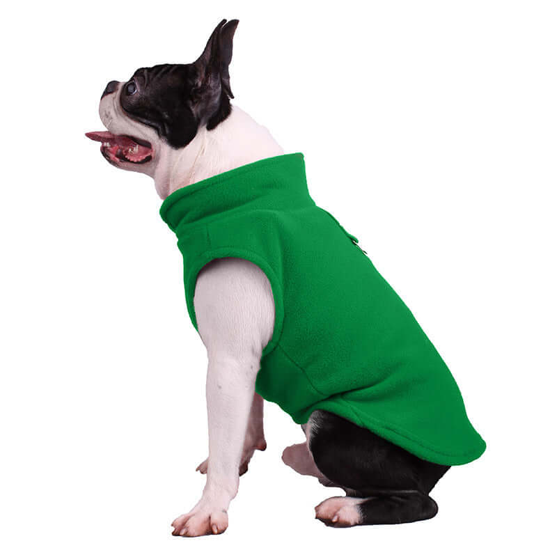 Veste robuste pour chien pour toutes les saisons