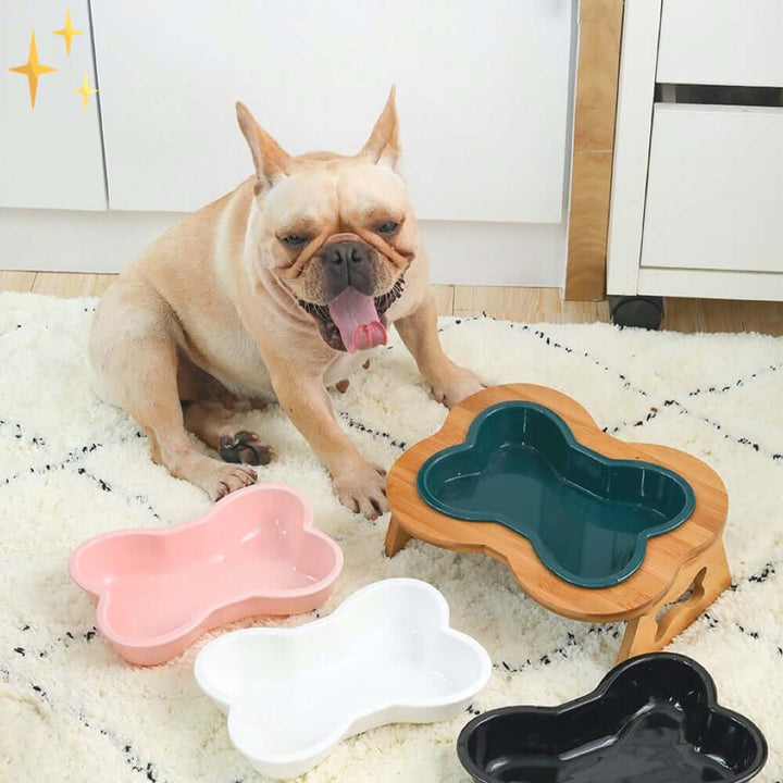Gamelle surélevée en céramique pour chien avec cadre en bois