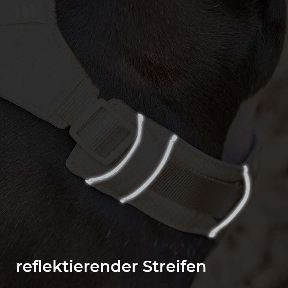 AquaCool Hundegeschirr & Leine Set - Anti-Zieh & Wasserdicht
