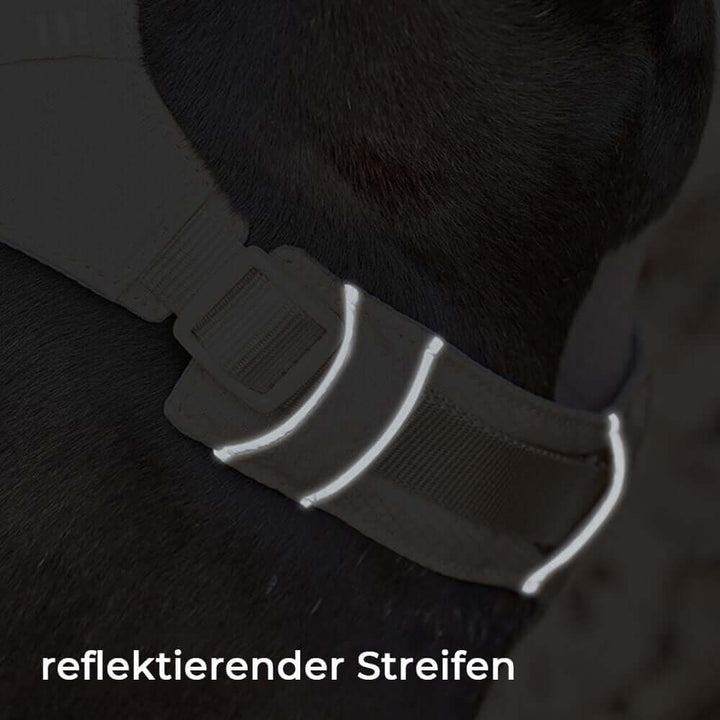 AquaCool Hundegeschirr & Leine Set - Anti-Zieh & Wasserdicht