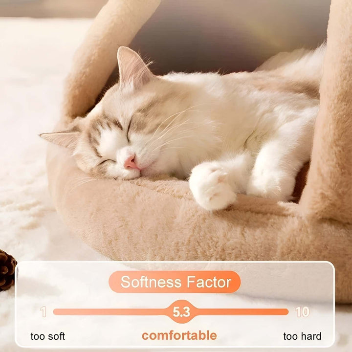 Tente confortable pour chat - lit confortable pour animaux de compagnie