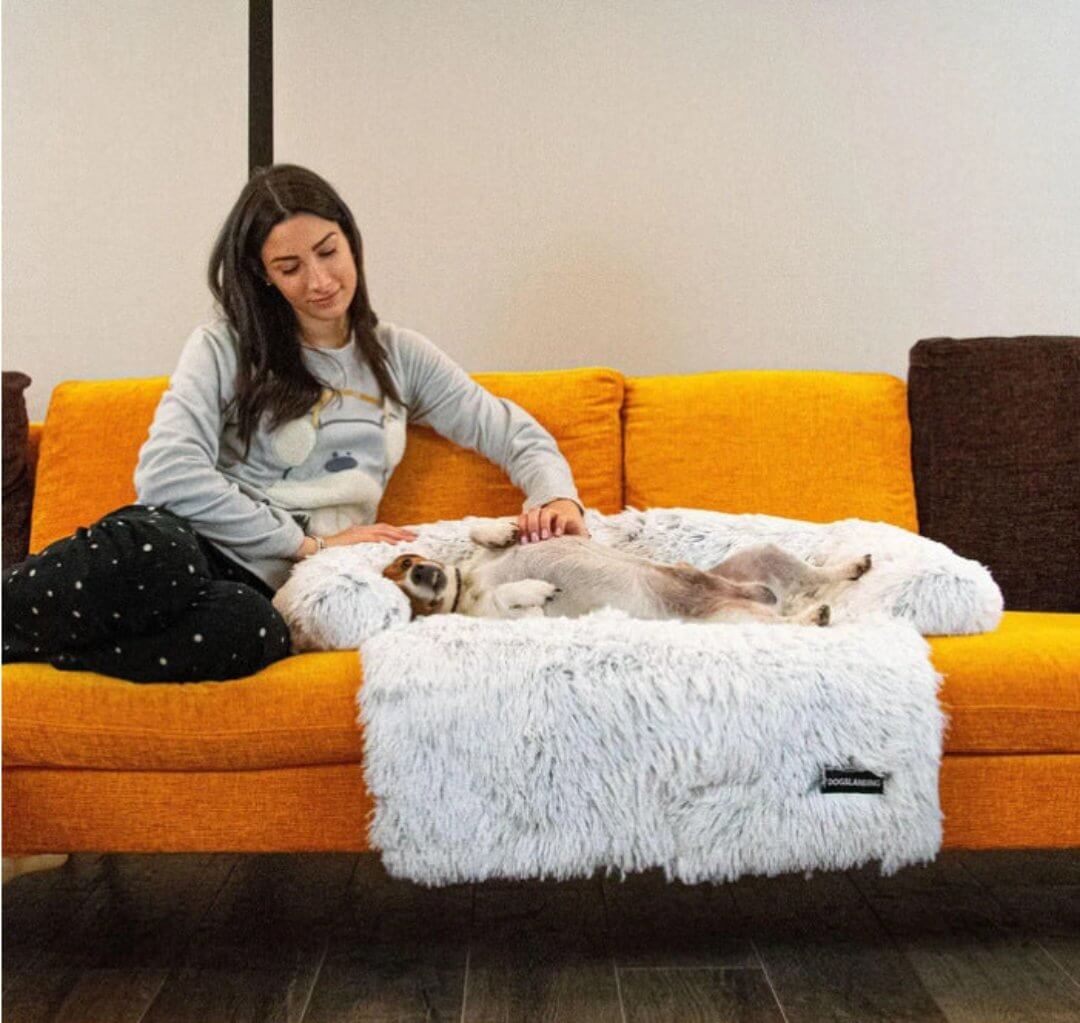 Canapé confortable pour chien et animal de compagnie