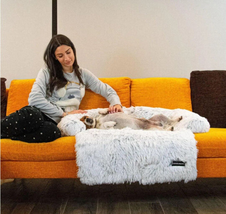 Canapé confortable pour chien et animal de compagnie