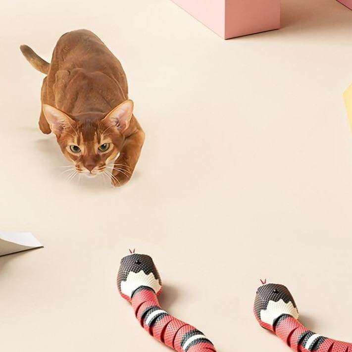 Jouet interactif pour chat - Amusant à remuer